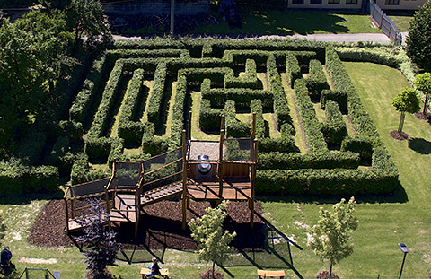 Mauglího labyrint