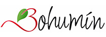 Město Bohumín