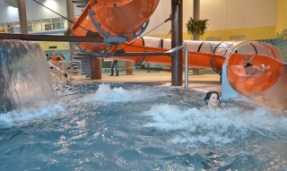 Aquacentrum Bohumín