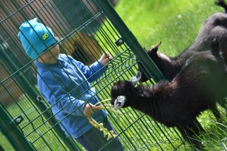 Mauglího ranč