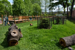 Mauglího ranč