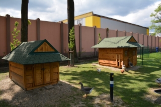 Mauglího ranč