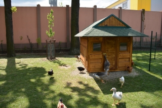 Mauglího ranč